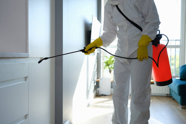 Best Mold Testing  in Prices Fork, VA