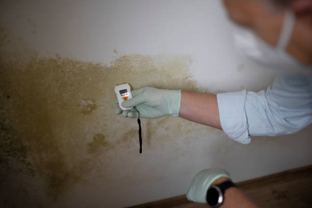 Best Water Damage Restoration  in Prices Fork, VA