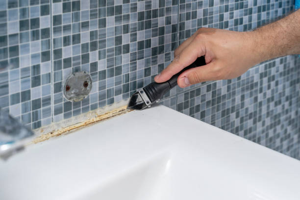 Best Black Mold Removal  in Prices Fork, VA