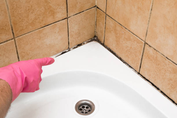 Best Crawl Space Mold Removal  in Prices Fork, VA